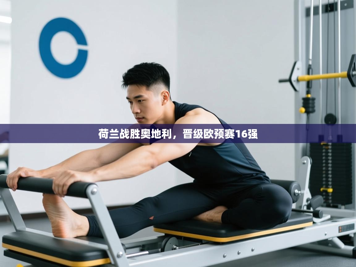 开云体育数据中心统计-荷兰战胜奥地利,晋级欧预赛16强 第2张