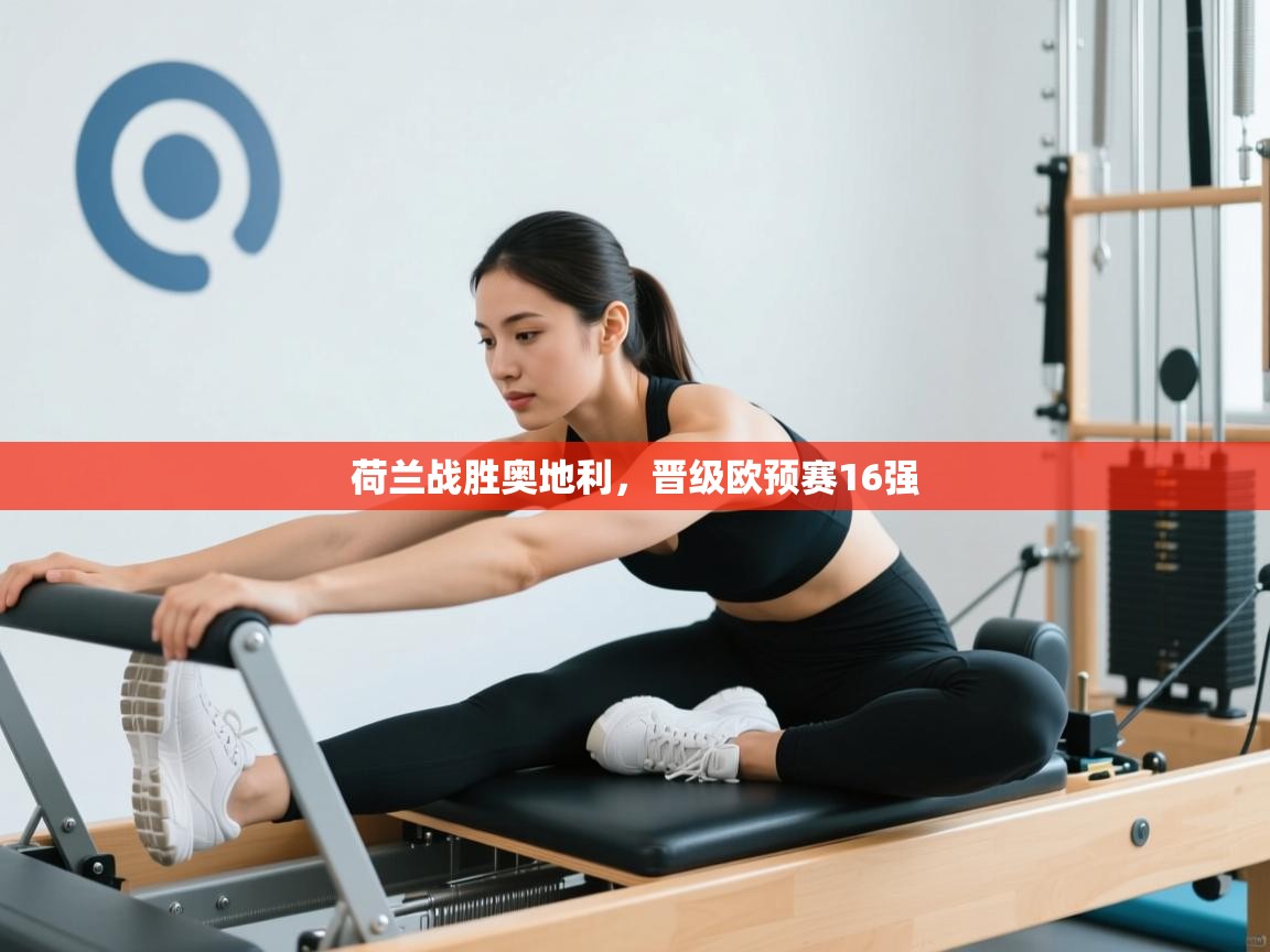 开云体育数据中心统计-荷兰战胜奥地利,晋级欧预赛16强 第3张