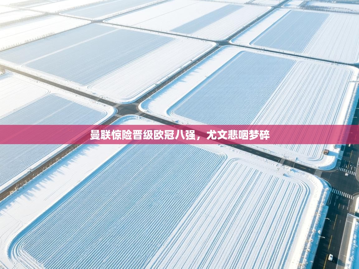 开云体育PC版网页版登录-曼联惊险晋级欧冠八强，尤文悲咽梦碎  第3张