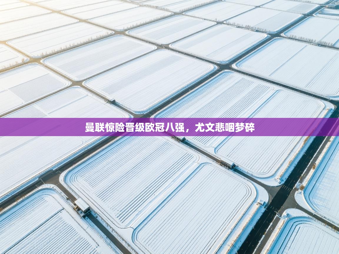 开云体育PC版网页版登录-曼联惊险晋级欧冠八强，尤文悲咽梦碎  第4张