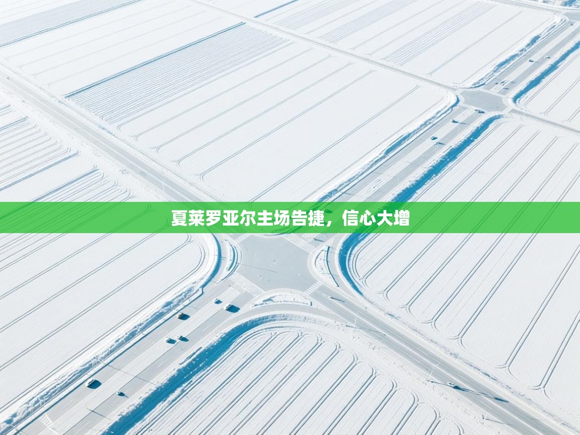 开运体育入口-夏莱罗亚尔主场告捷,信心大增 第1张