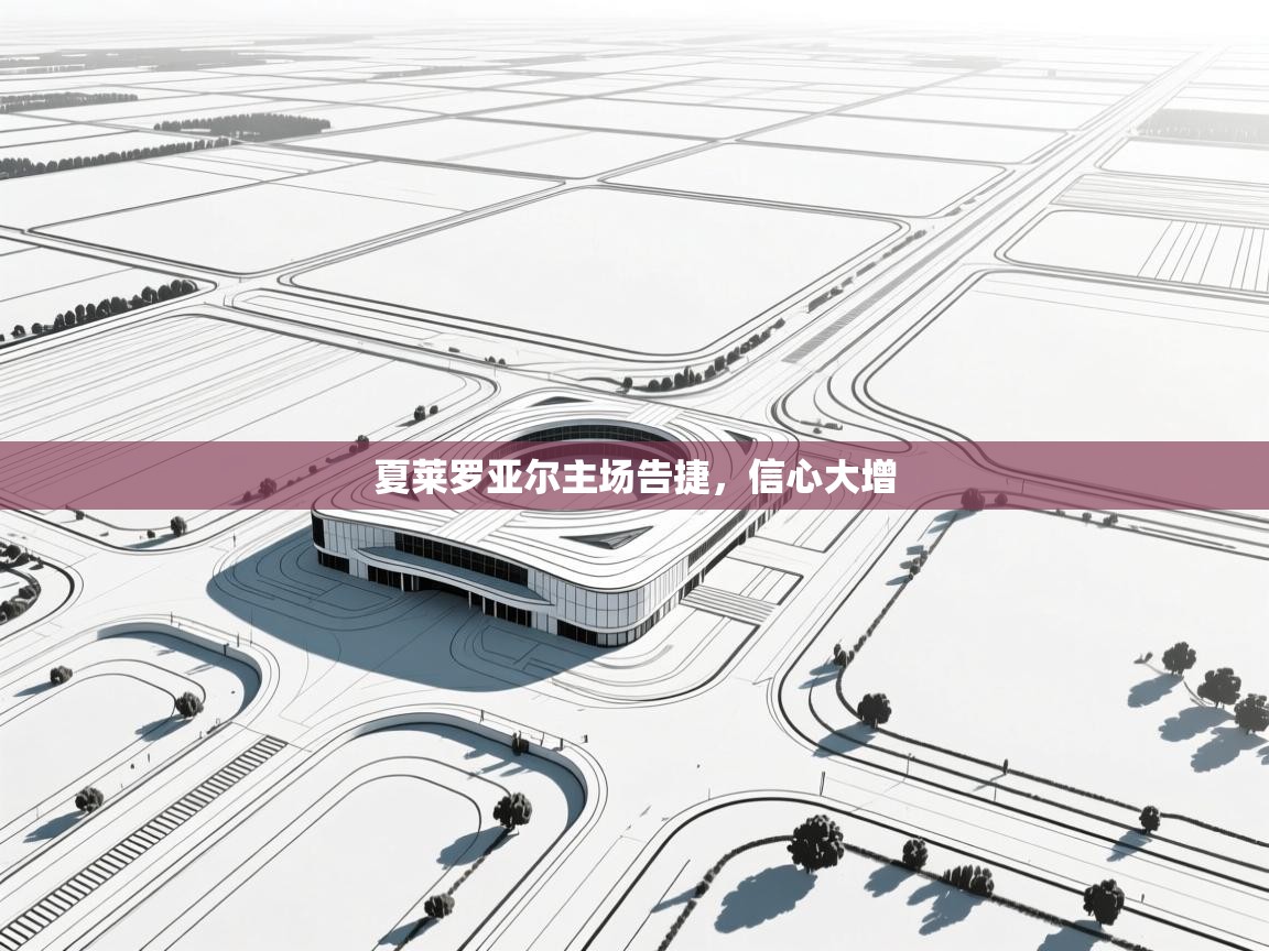 开运体育入口-夏莱罗亚尔主场告捷,信心大增 第3张