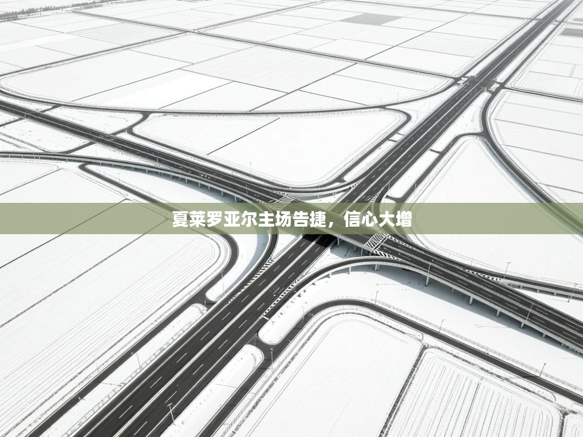 开运体育入口-夏莱罗亚尔主场告捷,信心大增 第4张