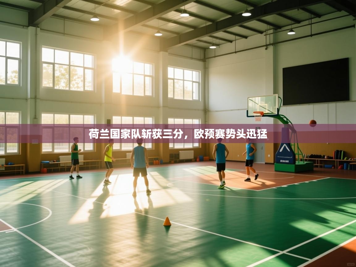 开云kaiyun体育app入口登录官网-荷兰国家队斩获三分，欧预赛势头迅猛  第1张