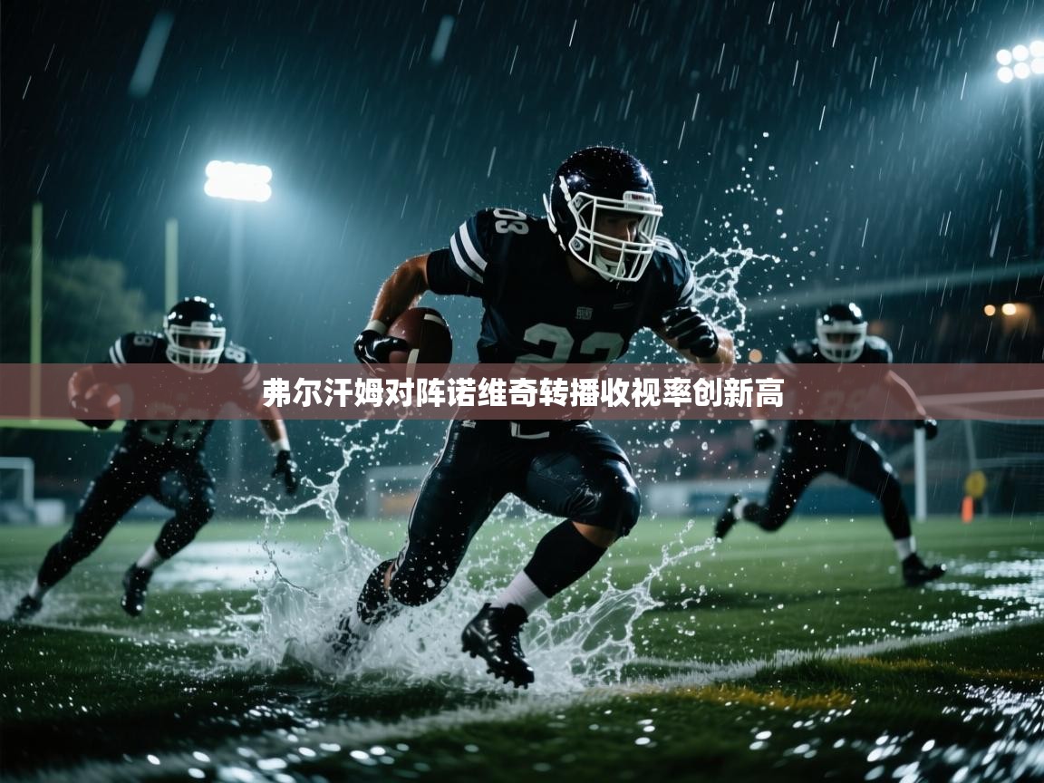 开云体育网络异常修复-弗尔汗姆对阵诺维奇转播收视率创新高  第1张