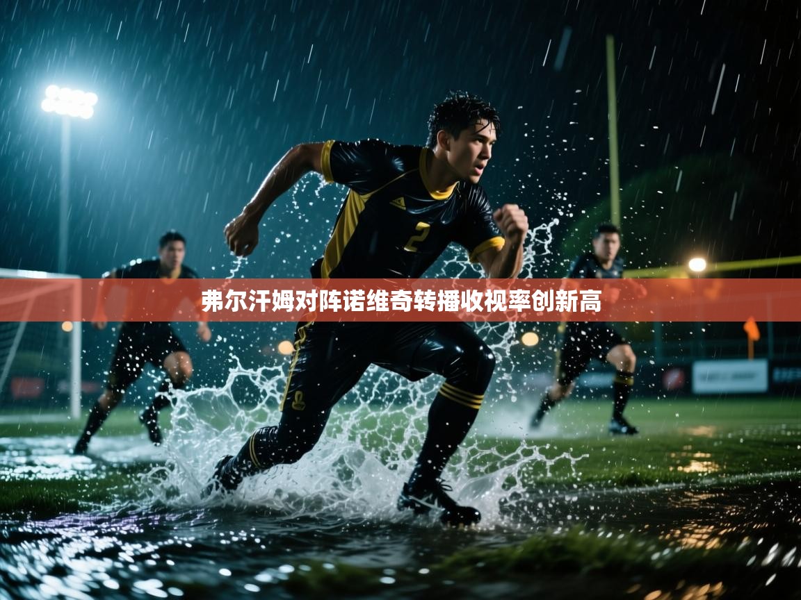 开云体育网络异常修复-弗尔汗姆对阵诺维奇转播收视率创新高  第2张