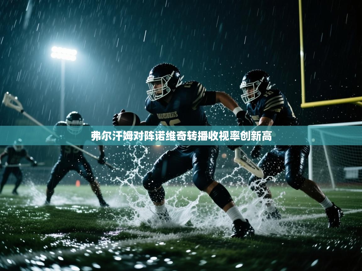 开云体育网络异常修复-弗尔汗姆对阵诺维奇转播收视率创新高  第3张