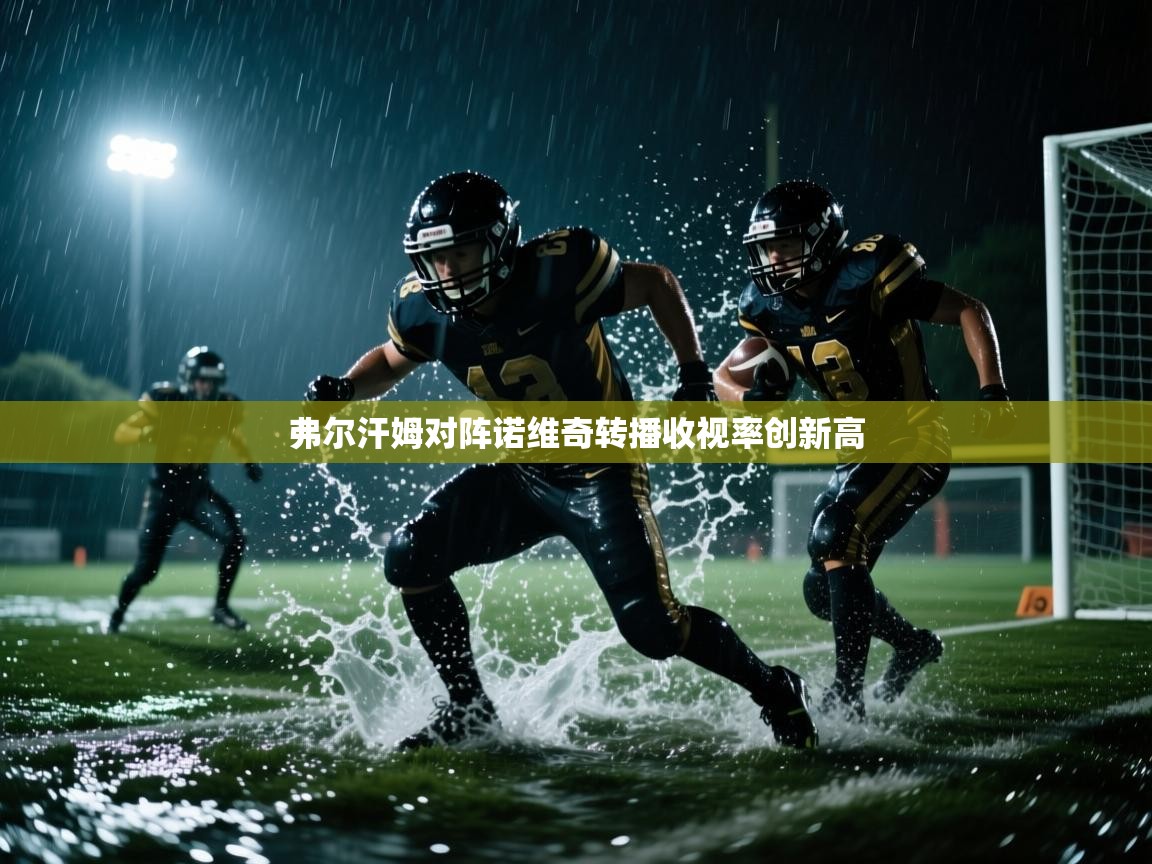 开云体育网络异常修复-弗尔汗姆对阵诺维奇转播收视率创新高  第4张